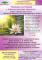 TRAINING AUTOGENO E VISUALIZZAZIONE CREATIVA