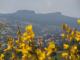 Monte Carpegna e XIII Paese delle Meraviglie a Macerata Feltria