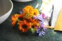 Workshop La cucina spontanea