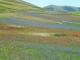 Castelluccio: la Fiorita dall'alto e tra i fiori nei campi