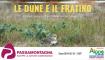 Le Dune e il Fratino - Corso sull'ecosistema della spiaggia