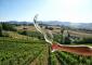 VERDICCHIO IN FESTA, TRA LE DOLCI COLLINE ROTOLANTI