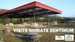 Visita guidata al Parco Archeologico di Sentinum