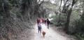 DogTrekking al Conero