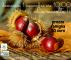 Castagne: la raccolta!