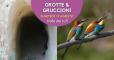 Grotte & Gruccioni