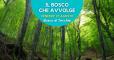 Il bosco che avvolge