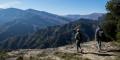 Appennino perduto: gli incredibili boschi del monte Ceresa