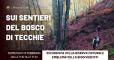 Sui sentieri del Bosco di Tecchie