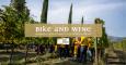 Bike and Wine | 08 Maggio