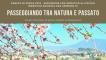 Passeggiando tra natura e passato