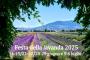 Festa della lavanda