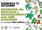 Escursione alla Roccaccia e riconoscimento delle erbe spontanee