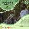 IMMERSIONE FORESTALE 7 GIUGNO
