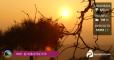 EcoTuristici: Tramonto alla Valle dei Tufi