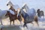 FIERACAVALLI RIDING BY THE SEA