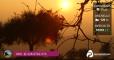 Campagna al tramonto: escursione alla Gabriella e aperitivo ribelle