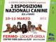 Esposizione Nazionale Canina a Fermo