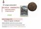 64° Convegno commerciale di filatelia, numismatica e cartoline d'epoca