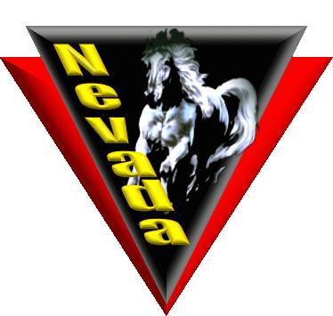 CENTRO DI RIABILITAZIONE EQUESTRE NEVADA ONLUS