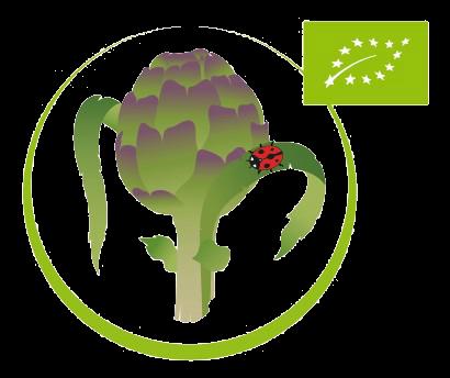 Carciofo di Montelupone biologico