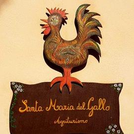 Santa Maria del Gallo