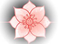 Centro benessere La Fenice