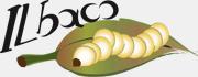 Il Baco