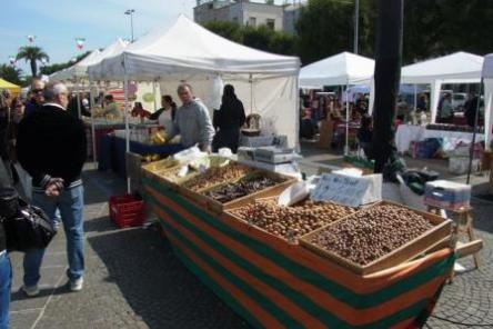 Agenzia Servizi Organizzativi 